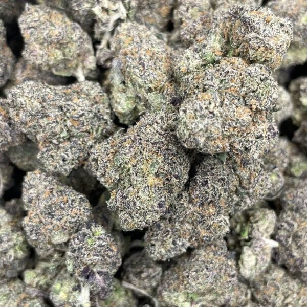Bacio Gelato
