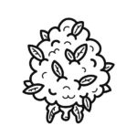 Bulk Flowers